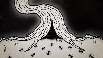 Into The Darkness Tree GIF