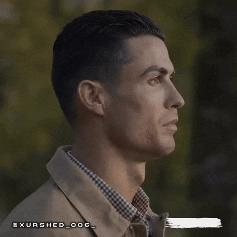 Cristiano Ronaldo Holland GIF