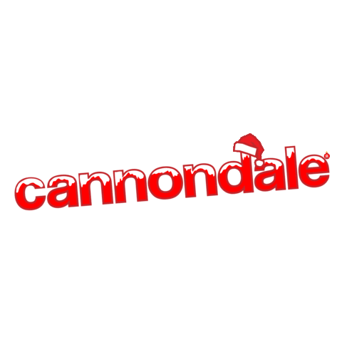 Cannondale_CSG Sticker