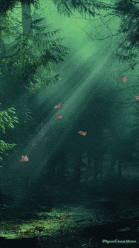 Pipercreations Unicorn Nature Forest Animals Trees Art Gif Find Share On Giphy Pipercreations Unicorn Nature Forest Animals Trees Art Gif Find Share On Giphy