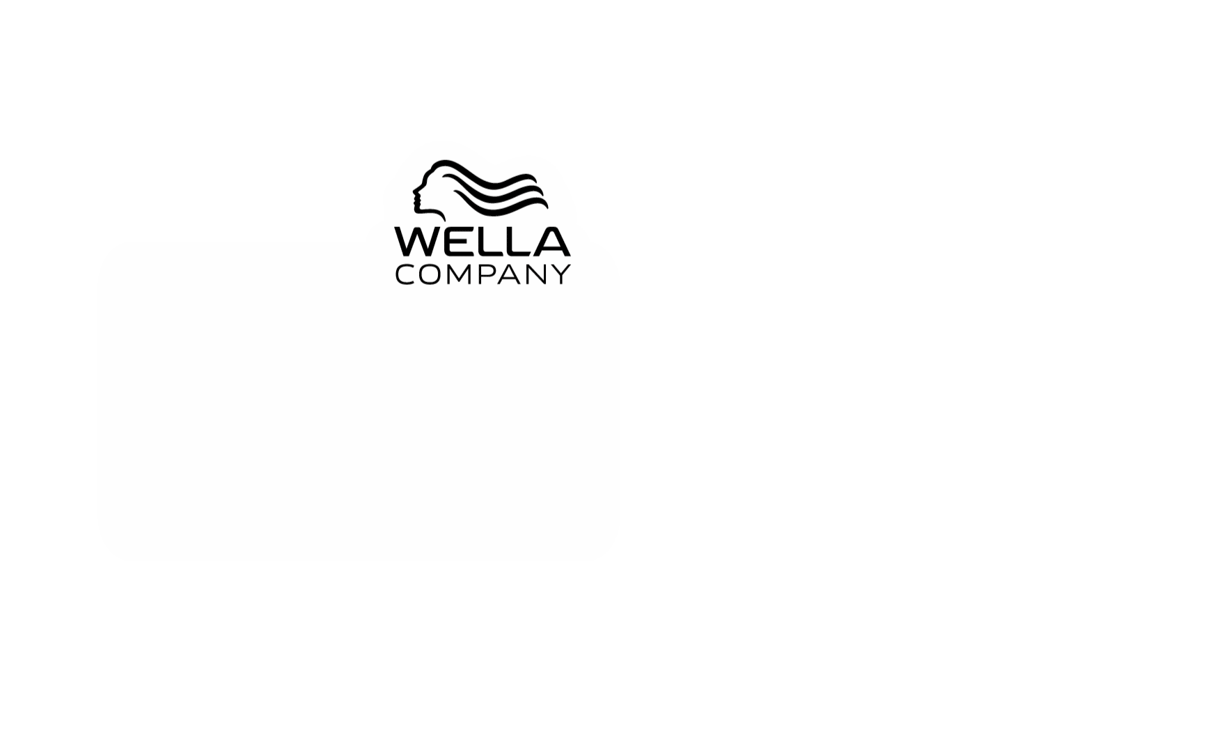 Wella | Han's Beauty Stor