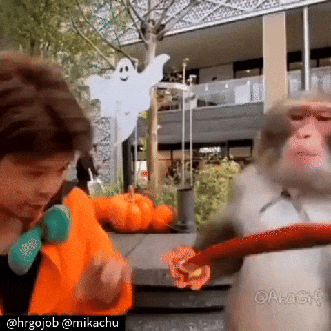 Monkey Beating GIF