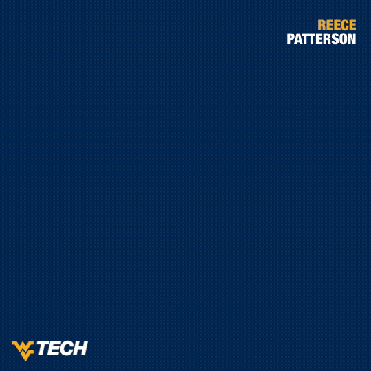 Baseball GIF by WVU Tech Golden Bears