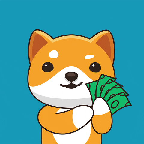 Balling Lets Go GIF by Baby Doge Coin