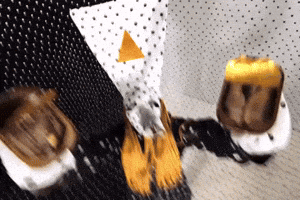 Angine GIF