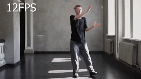 12Fps GIF