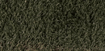 Womens Lacrosse GIF by Lafayette Leopards