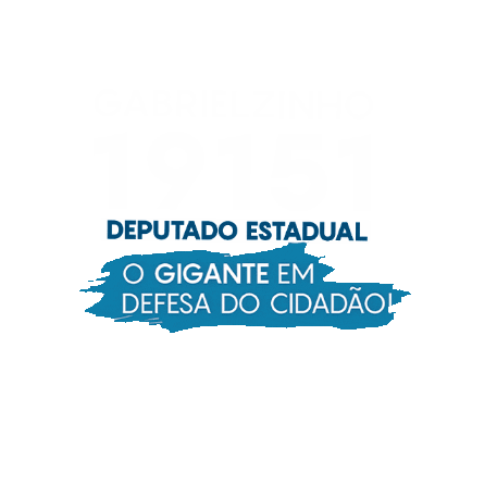 Santa Catarina Deputado Estadual Sticker by Gabrielzinho