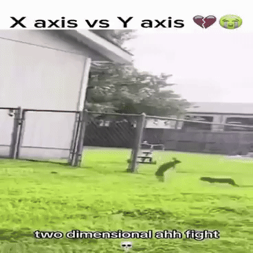 Bunny X Axis GIF