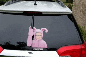 Ralphie Waving GIF by WiperTags Wiper Covers