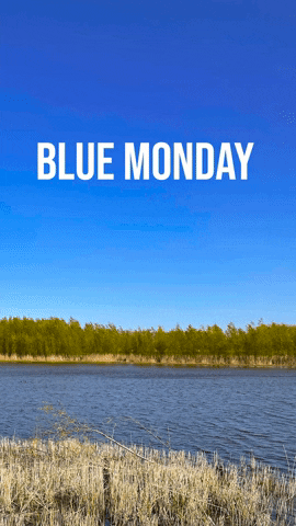 Blue Sky Monday GIF by Rowin Dreef