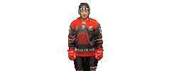 Les Aigles de Nice Sticker