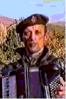 giphy.gif