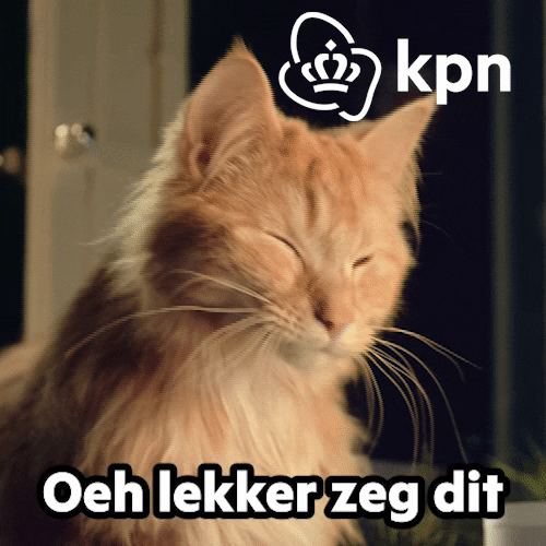 Hallo Party Animal GIF by KPN