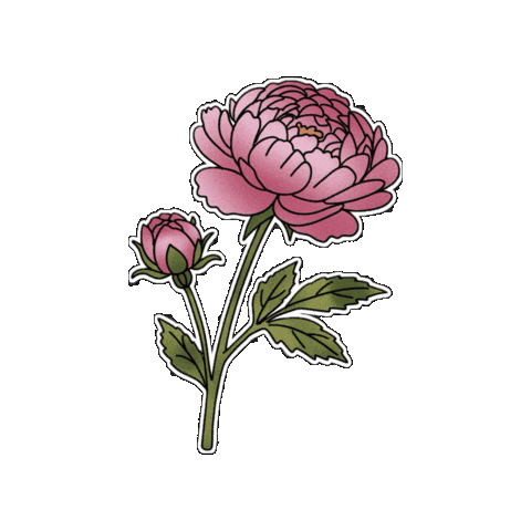 Flower Peony Sticker