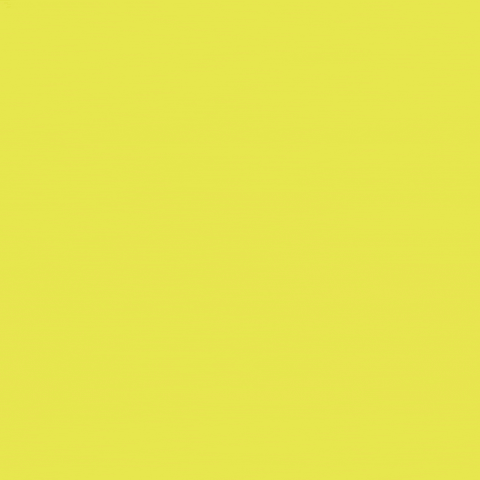 Fish Punk GIF