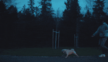 meerwalt GIF
