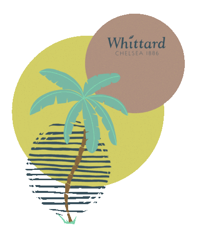Pina Colada Summer Sticker by Whittard CZ