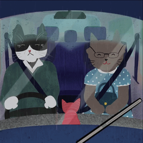 Miqan driving wipers cat driving windshield wipers GIF