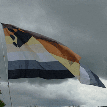 Bear Flag Pride GIF by AceArchive