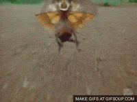 Wingless Dragon Running - GIF - Imgur