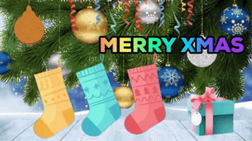 Merry Christmas Socks GIF by knoopsok