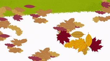 Happy Autumn Leaves GIF by CBeebies HQ