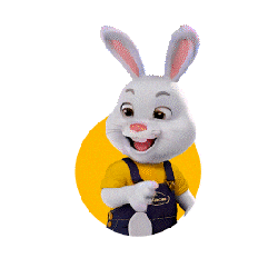 Coelho Deodoro Sticker by DeCacau Store