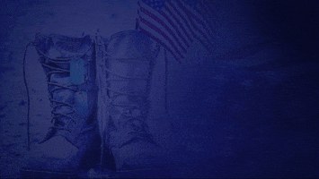 Veterans Day Exp GIF