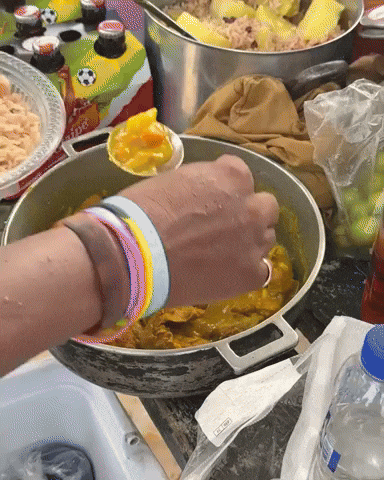 Chicken Curry GIF