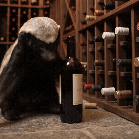 Honey Badger GIF by Smart Operator