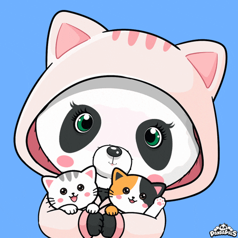 Cat Love GIF by PandaPals