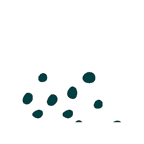 Acoach Alina Visser Sticker by acoach