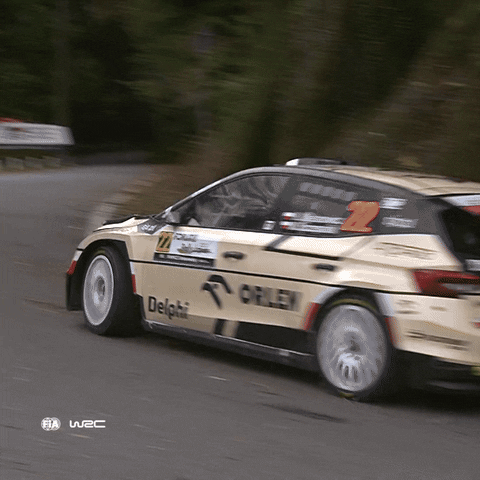 Speed Driving GIF by FIA World Rally Championship