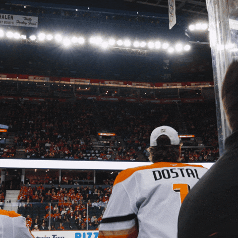Hockey Jump GIF by Anaheim Ducks