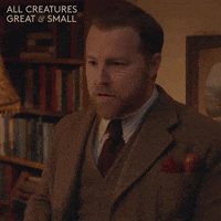 Angry Yorkshire GIF by All Creatures Great And Small