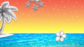 Miami GIF by lenay