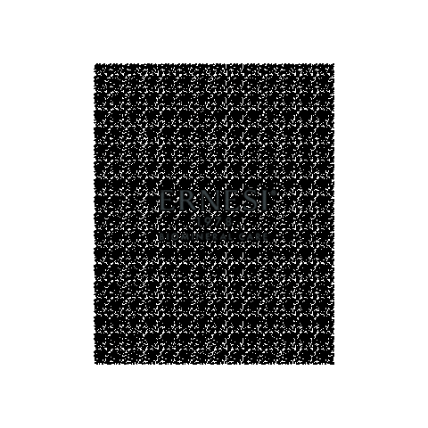 ERNESI 1978 Sticker
