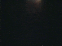 innuendo GIFs , Primo GIF , Latest Animated GIFs