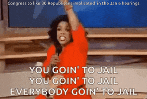 TV gif. At the top reads the text, “Congress to like 30 Republicans implicated in the Jan 6 hearings.” Oprah Winfrey stands on stage, pointing at the audience and saying enthusiastically, “You goin’ to jail, you goin’ to jail, everybody goin’ to jail.”