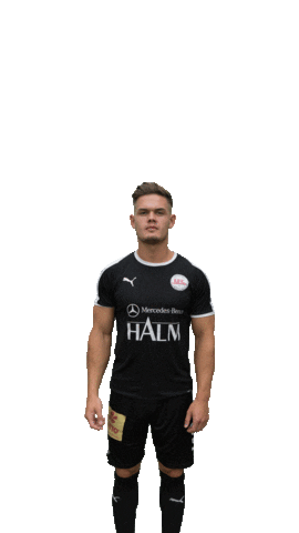 1. FC Germania Egestorf-Langreder Sticker