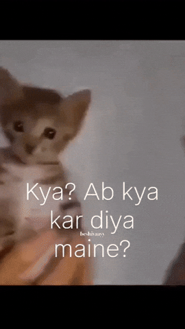 Beshivaayy GIF