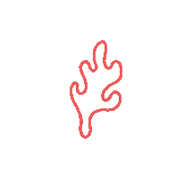 Coral Studio Sticker