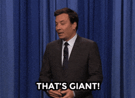 Jimmy Fallon Comedian GIF by The Tonight Show Starring Jimmy Fallon