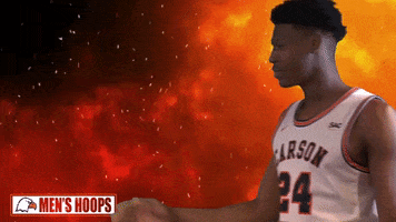 Street Fighter Idk GIF by Carson-Newman Athletics