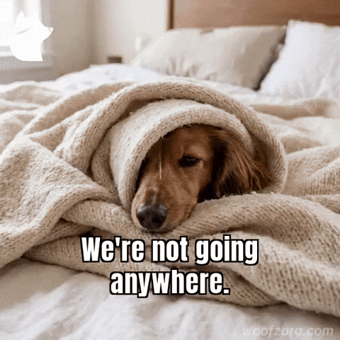 Sleepy Not Going GIF by Woofzara
