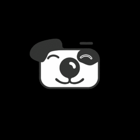 Tierfotostudio GIF