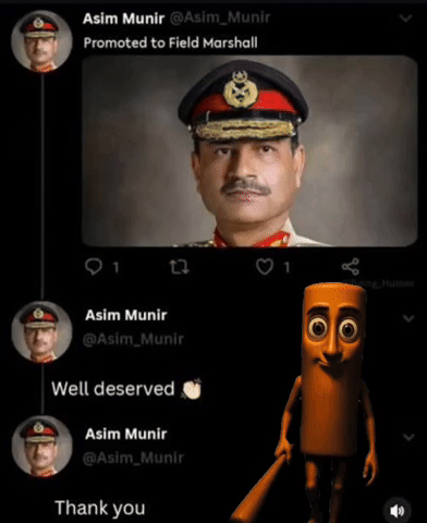India GIF