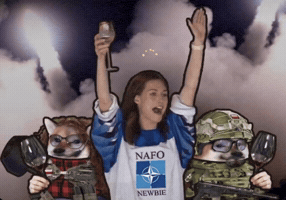 Nafo GIF