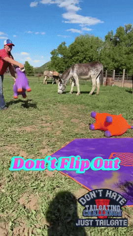 Flip Out GIF by Tailgating Challenge